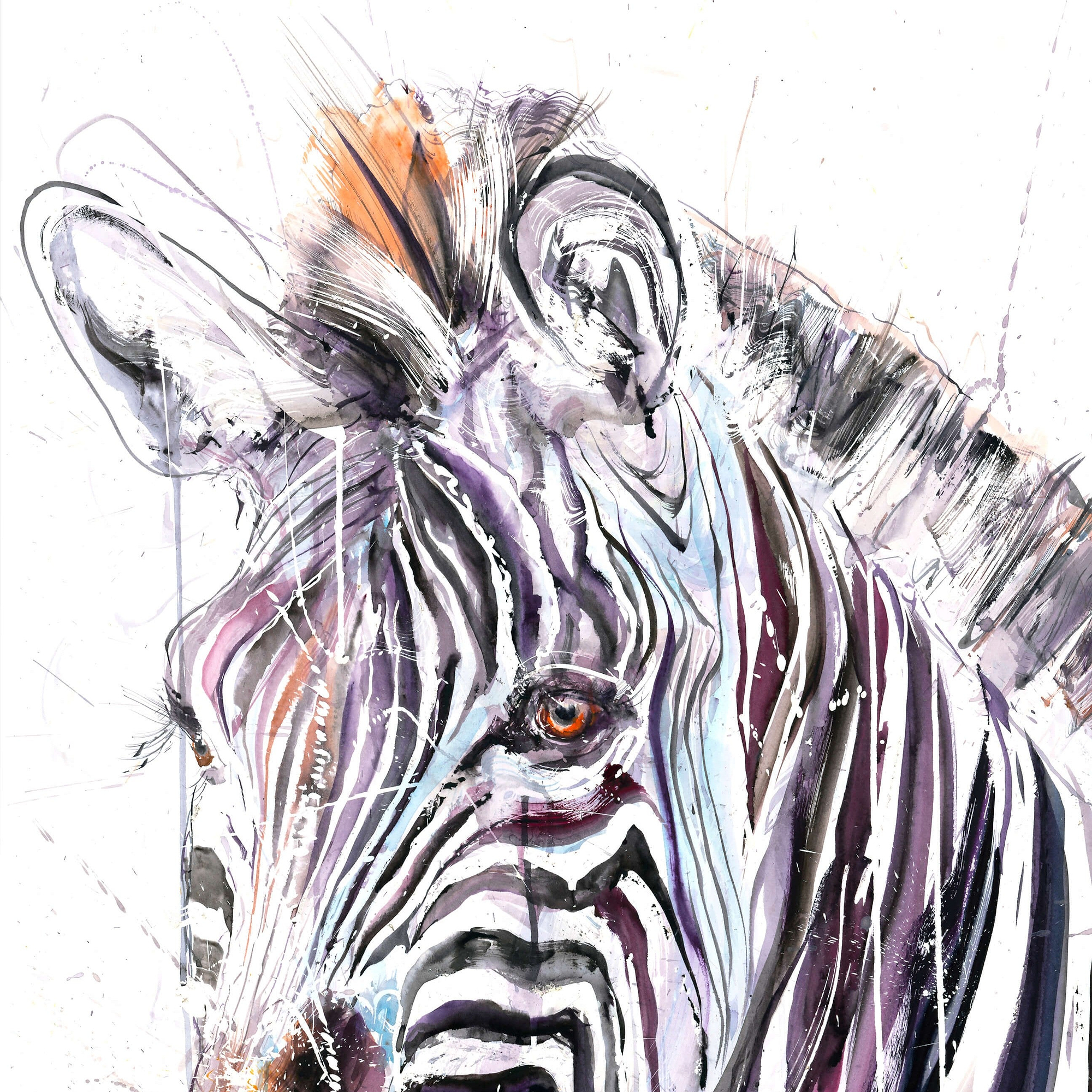 Grevy's Zebra II (Study)