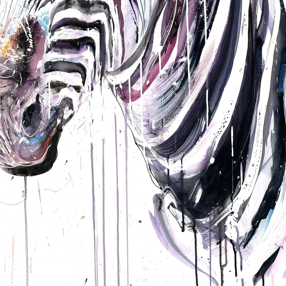 Grevy's Zebra II (Study)