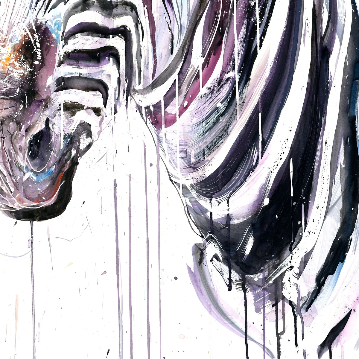 Grevy's Zebra II (Study)
