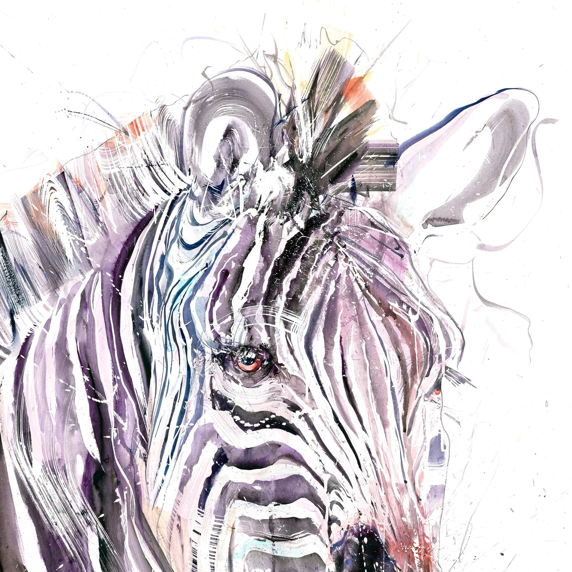 Grevy's Zebra I (Study)