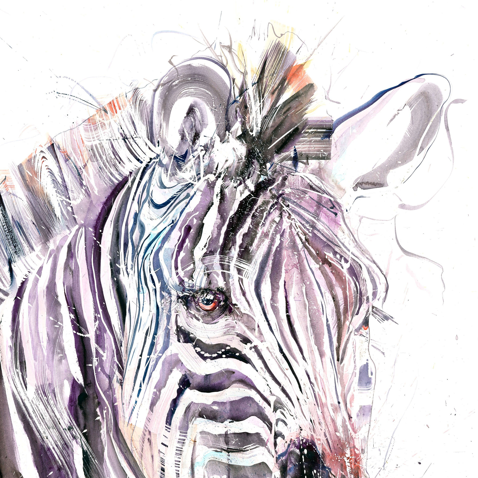Grevy's Zebra I (Study)