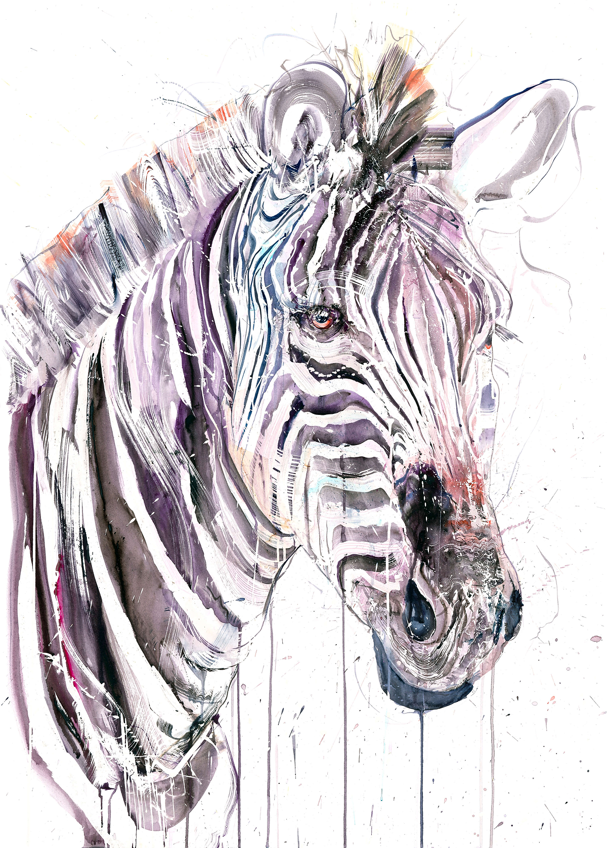 Grevy's Zebra I (Study)