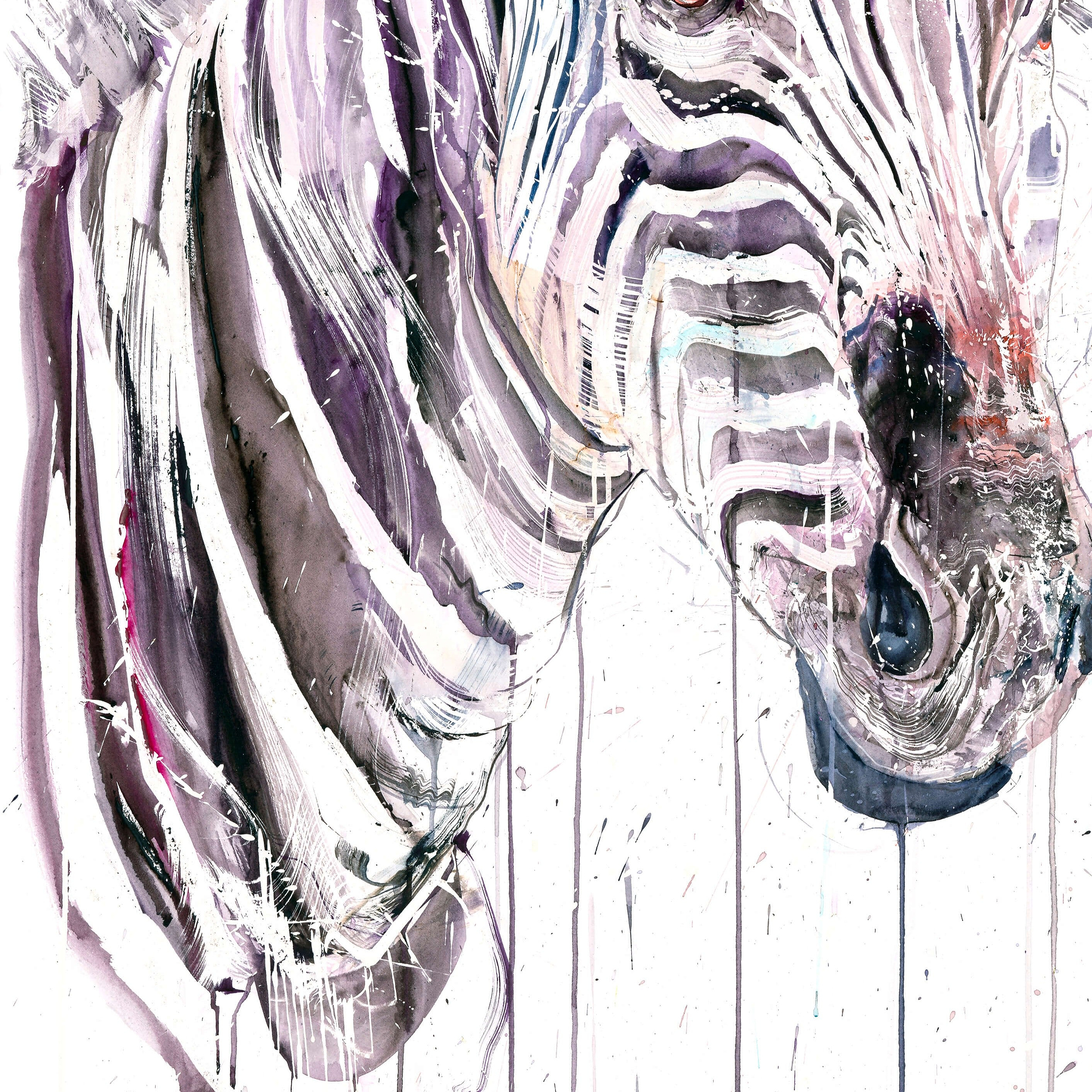 Grevy's Zebra I (Study)