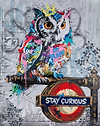 Stay Curious