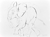 Elephant Study XIV
