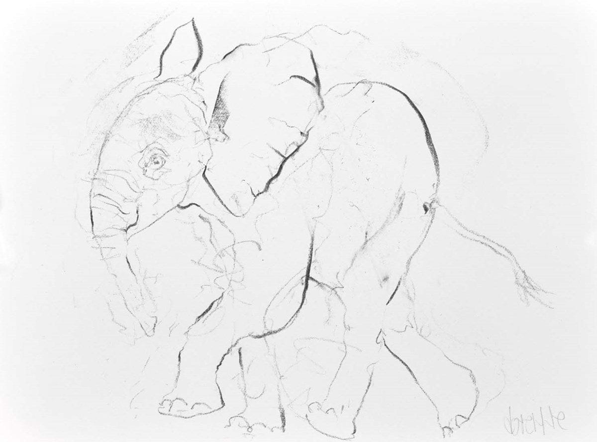Elephant Study XIV