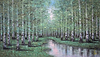 The Secluded Place