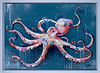 Arms of the Ocean