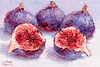 Figs VI