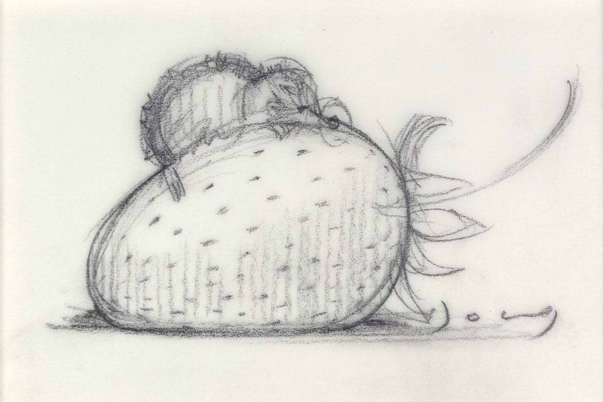 Strawberry And Dreams VI (Sketch)