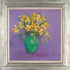 Daffodils and Winter Flowering Jasmine