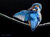 Kingfisher on a Branch II
