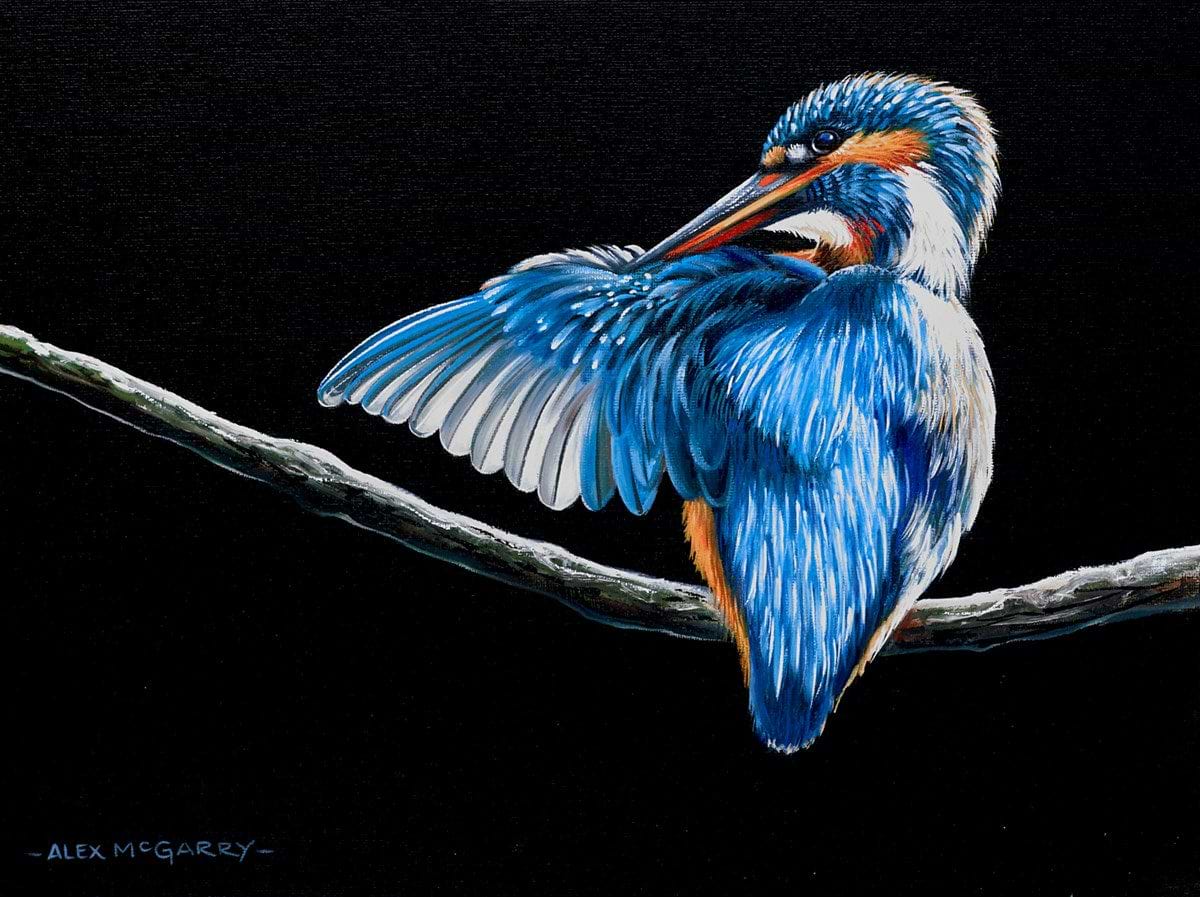 Kingfisher On A Branch II