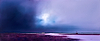 Magenta Headland