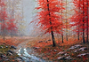 Bosque con Niebla