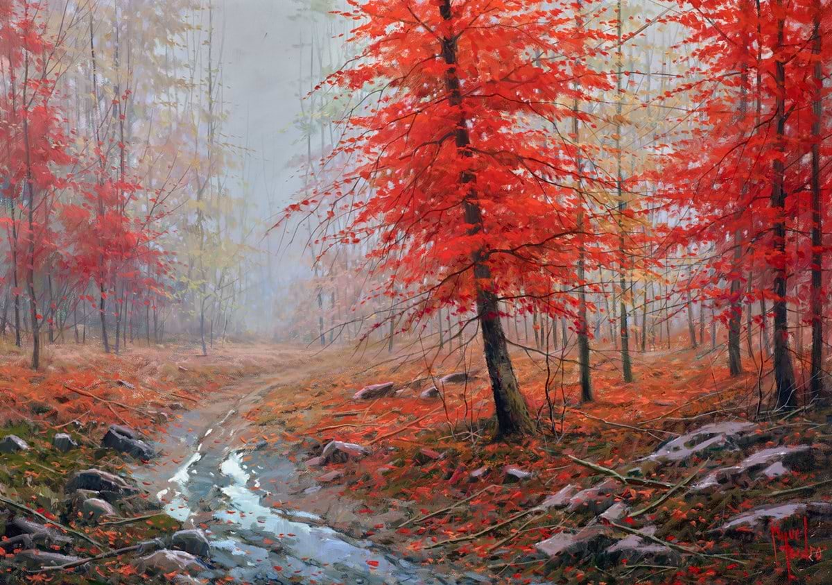 Bosque Con Niebla