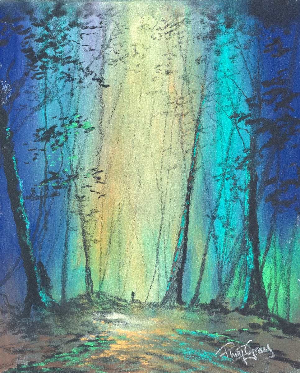 A Stroll In The Forest