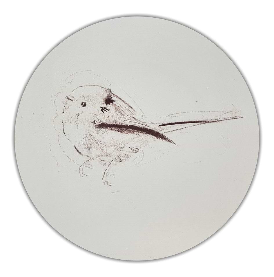 Long Tailed Tit Sketch