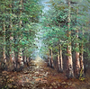 Woodland Walkway
