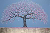 Old Cherry Tree II