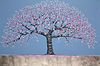 Old Cherry Tree II