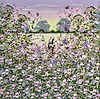 Wild Petals in the Breeze V