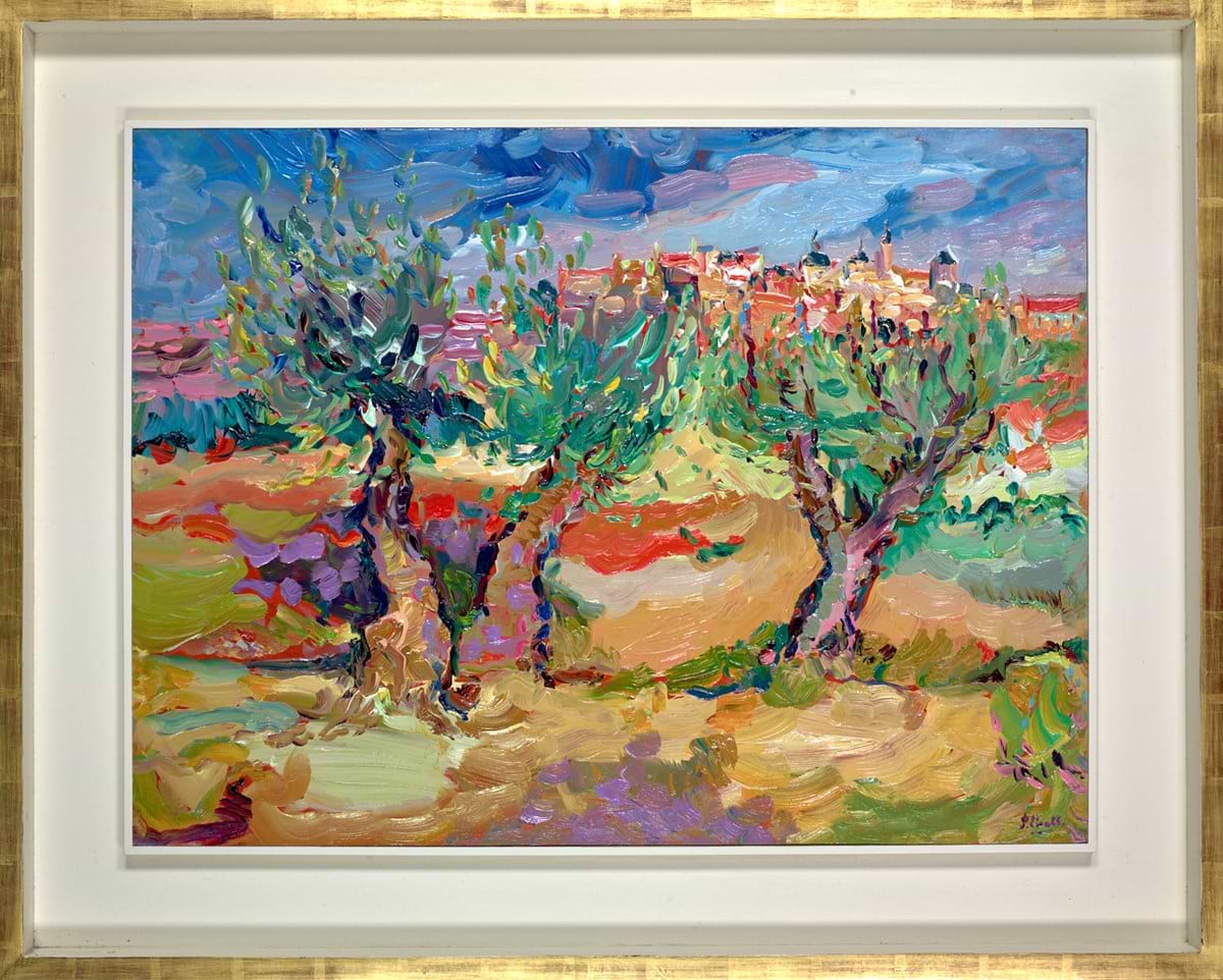 Olive Trees , Toledo