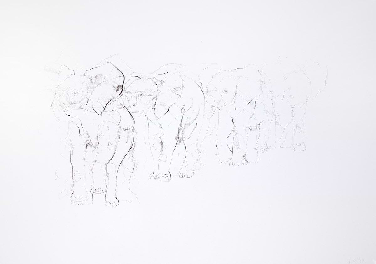 Walking Elephant Study I