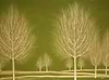 Silent Woods - Green