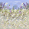 Meadow Retreat