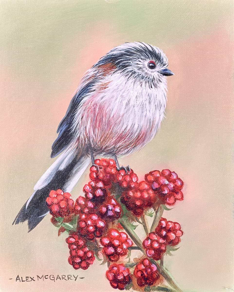 Long Tailed Tit II