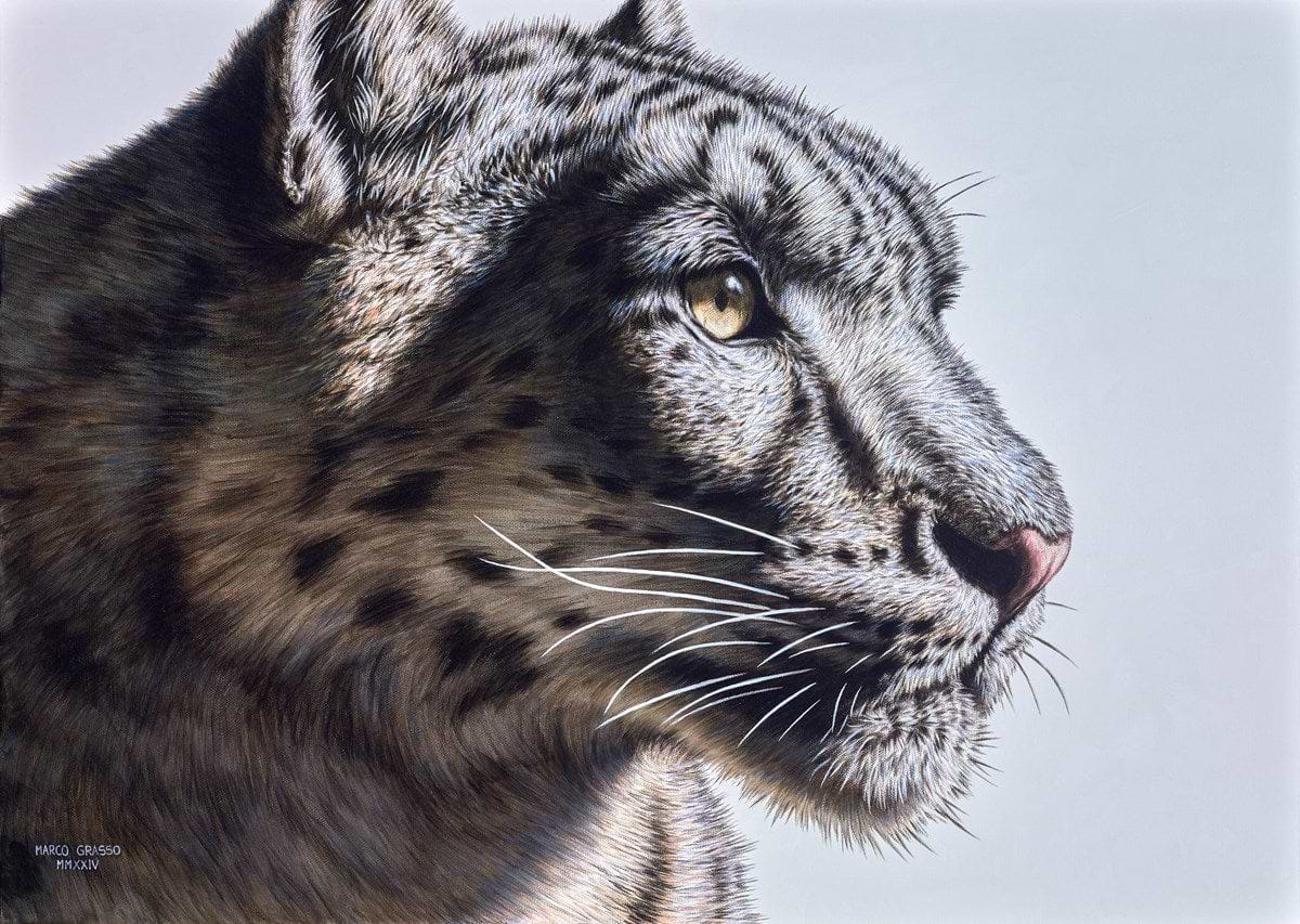 Snow Leopard II
