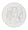 Elephant Study XXVI