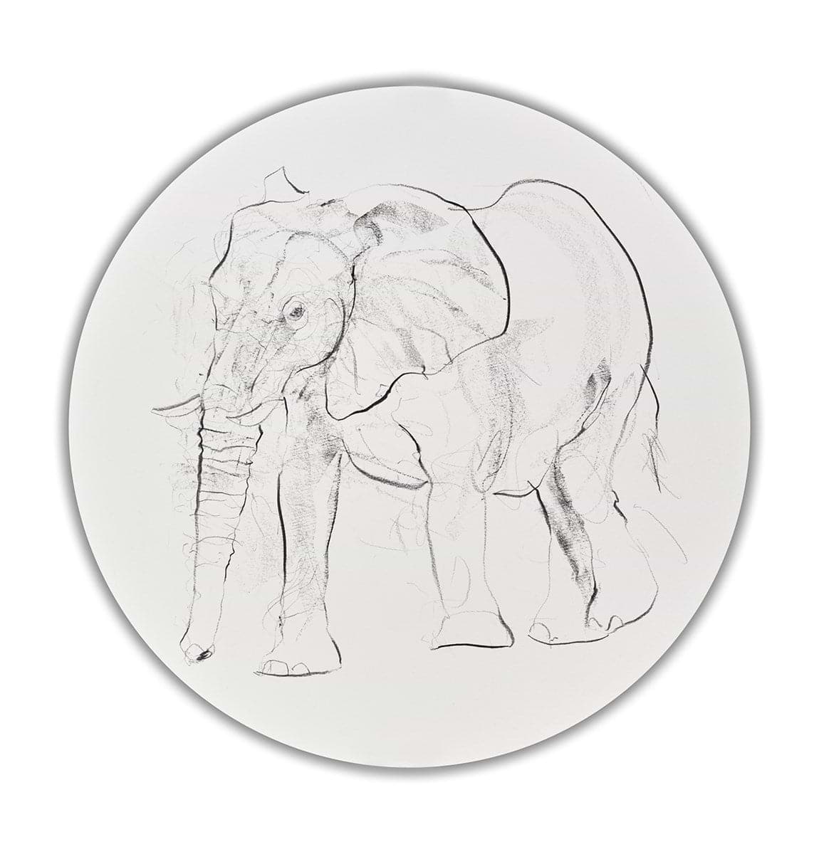 Elephant Study XXVI