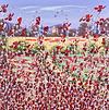 Poppy Dreams III