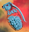 Aqua Lover (Red Chain)
