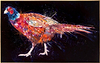 Pheasant
