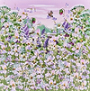 Harmony in Summer