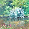 May Blossom