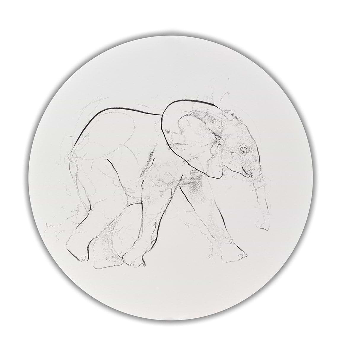 Elephant Study XXX