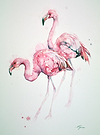 Flamingo Pair