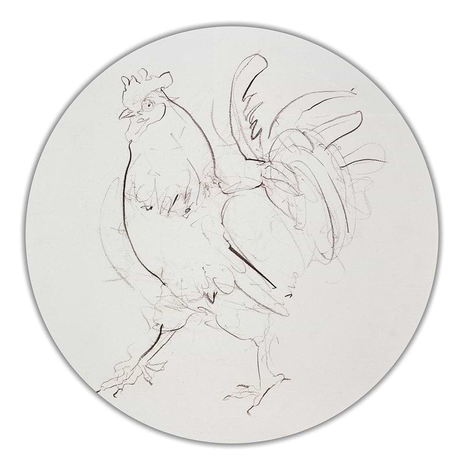 Rooster Sketch