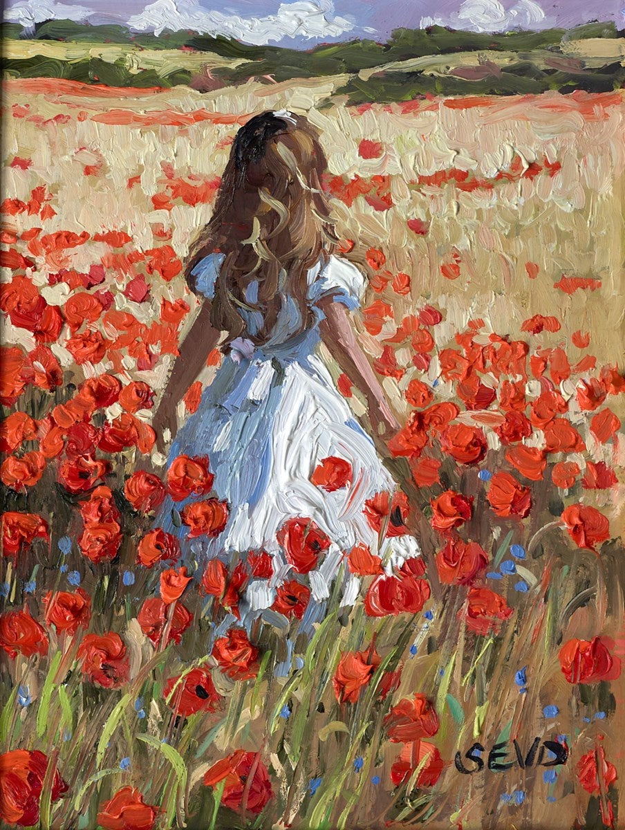 Poppy Field Vision