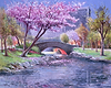 Central Park , New York