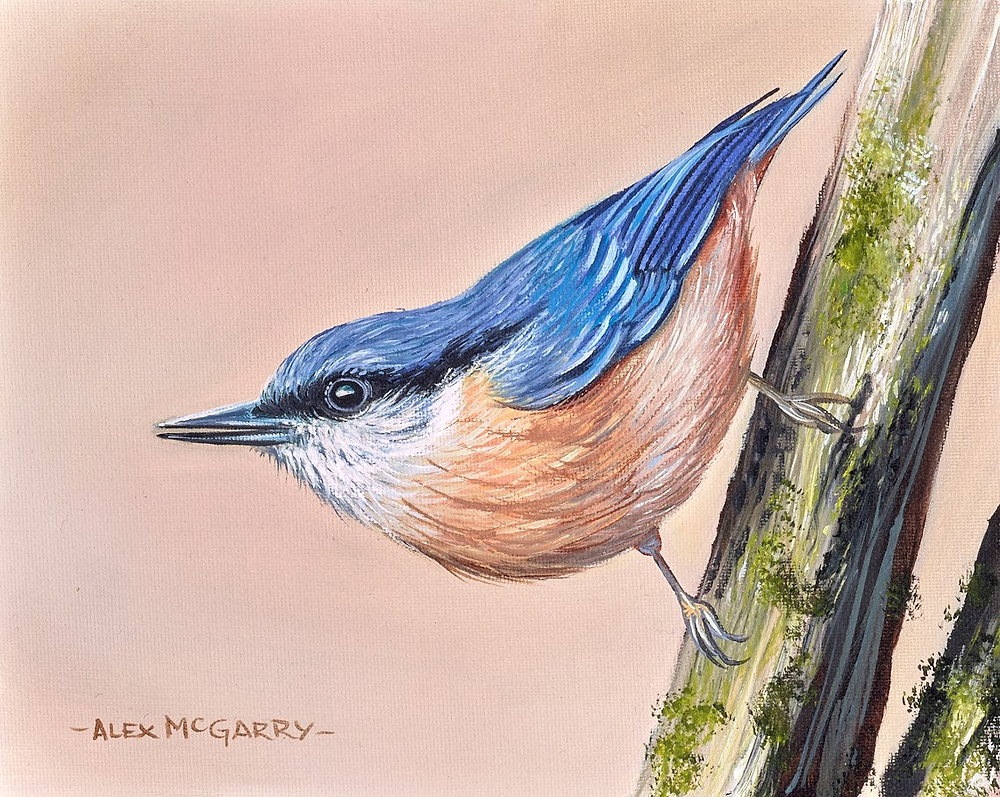 Nut Hatch