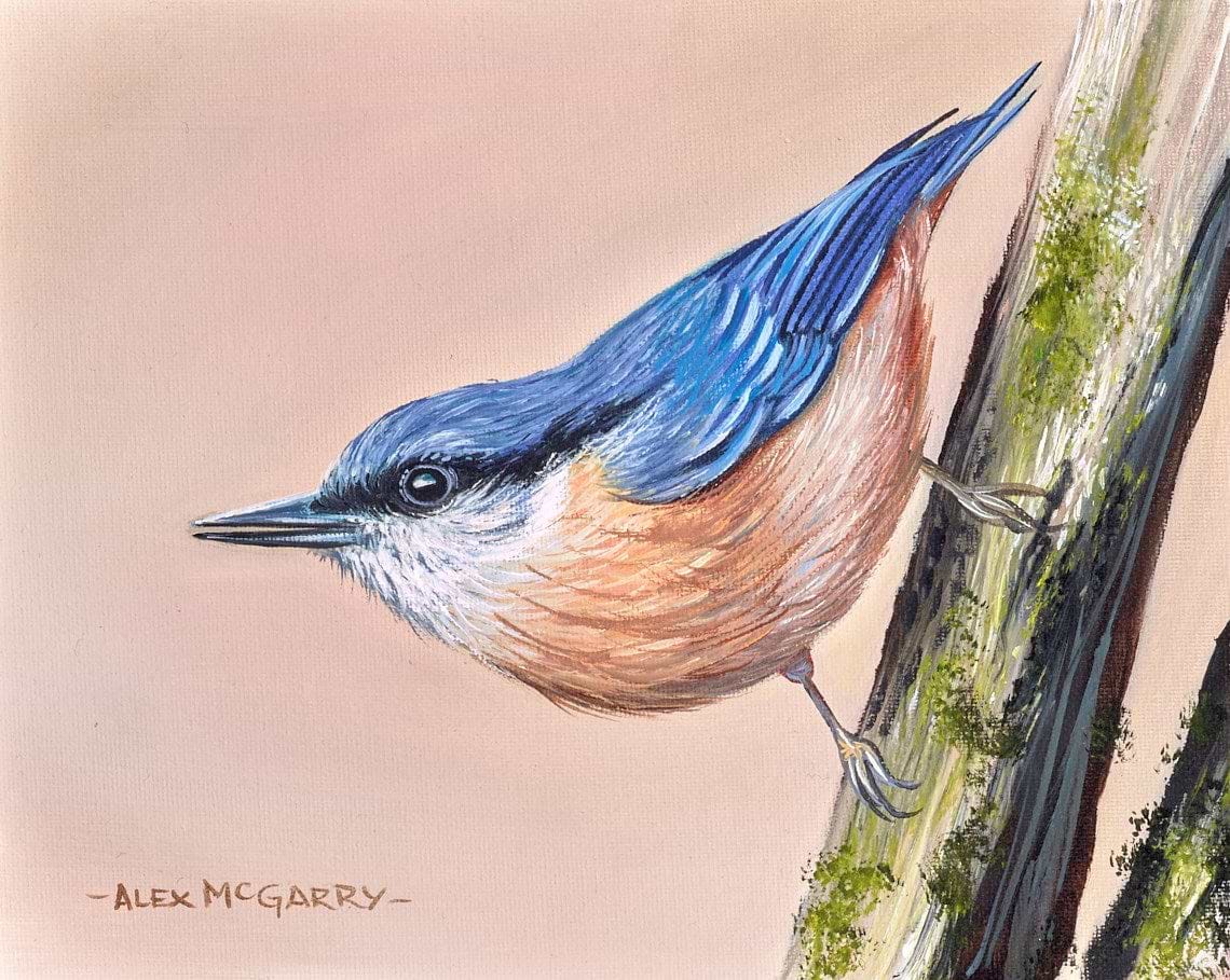 Nut Hatch