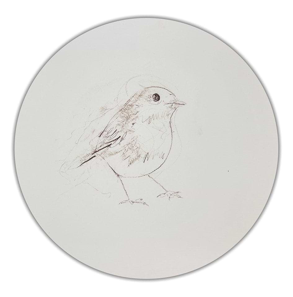 Robin Sketch V