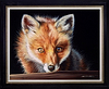 Golden Eyes (Framed)