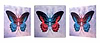 Therepy Butterfly
