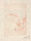 Leonardo da Vinci, from Quinze Gravures